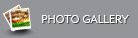 Virtual Tour 46 Harmony Drive Niagara-on-the-Lake L0S 1J0 Photo Gallery